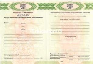 Диплом ПТУ 2014-2021 годов в Москве